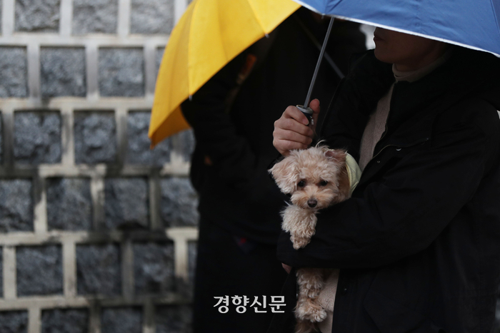 [잡담] 수능 응원하러 온 강아지들 봐 | 인스티즈