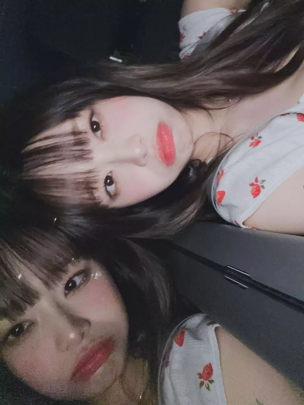 호모 이레알리스&lt; 최근 읽은 에세이인데 추천합니다 | 인스티즈