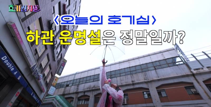 닮은 사람에게 끌린다는 하관 운명설을 아십니까? | 인스티즈