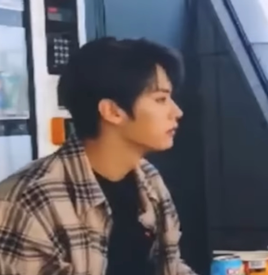 [잡담] 스키즈 리노 콧대 이게 말이 됨??? | 인스티즈