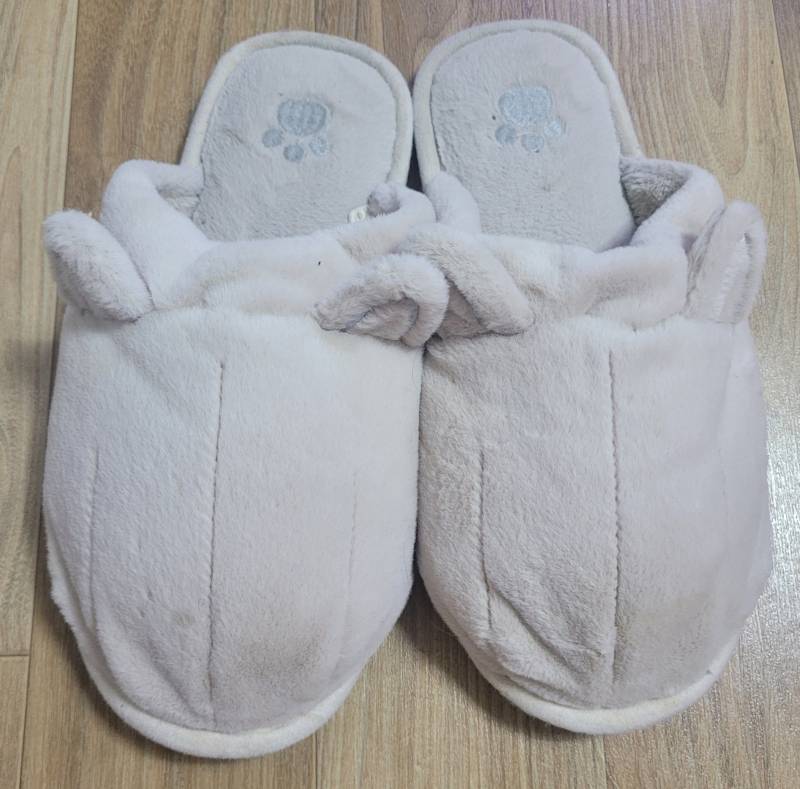 [잡담] 회사에서 다이소 거실화 신으면 안되겠지?? | 인스티즈