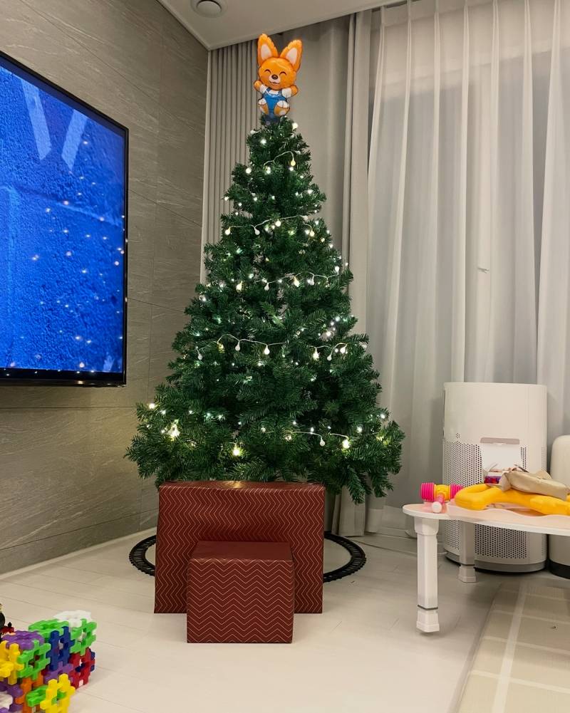 [잡담] 이제 슬슬 트리를 꺼내야지 🎄 | 인스티즈