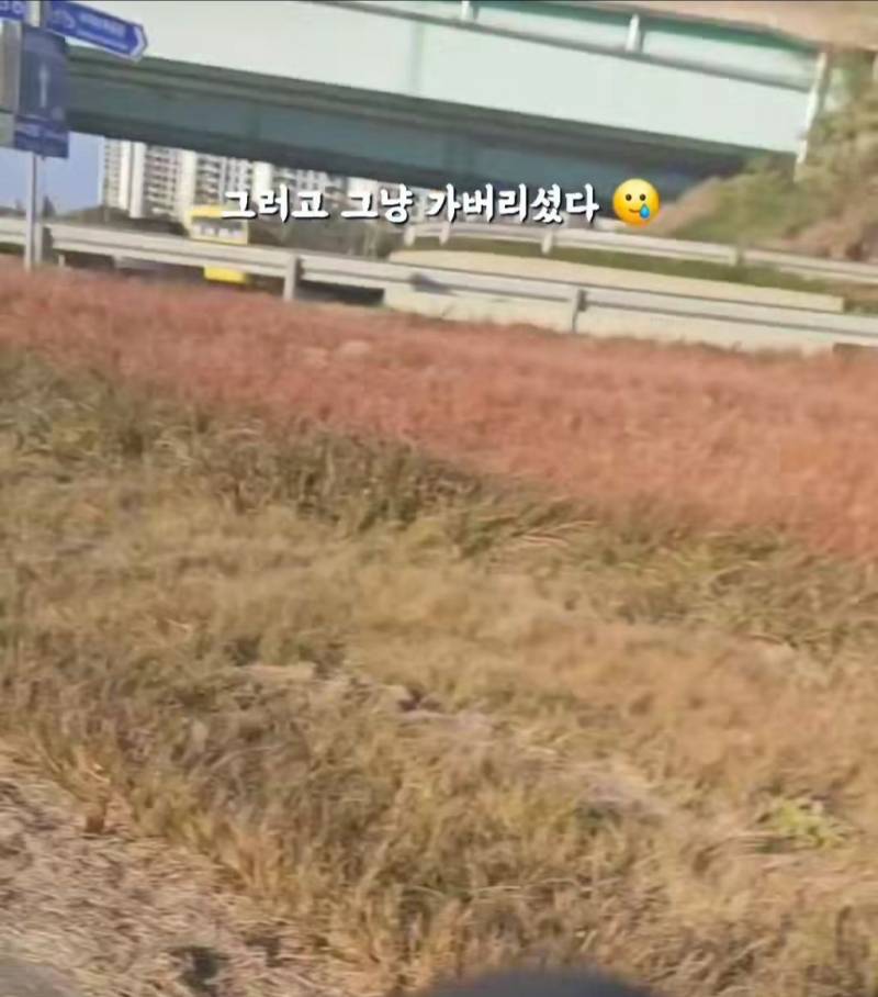 현재 난리 난 "얘 믹스예요? 얘가 먹던거예요?" | 인스티즈