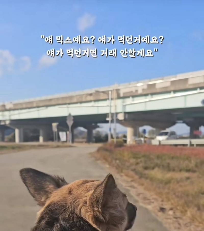 현재 난리 난 "얘 믹스예요? 얘가 먹던거예요?" | 인스티즈