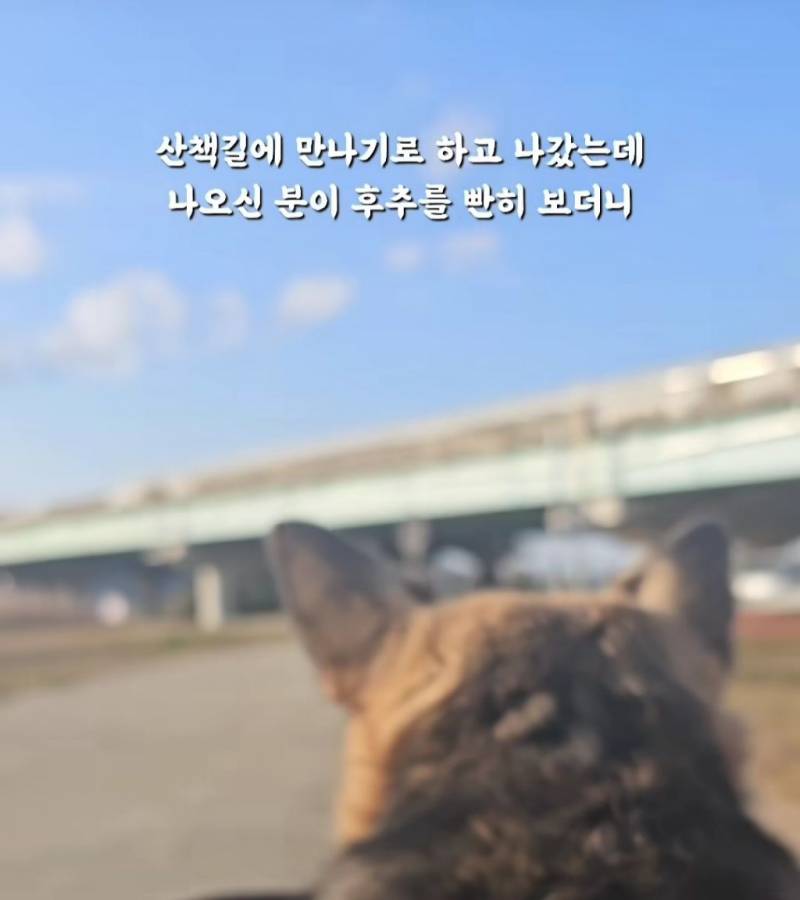 현재 난리 난 "얘 믹스예요? 얘가 먹던거예요?" | 인스티즈