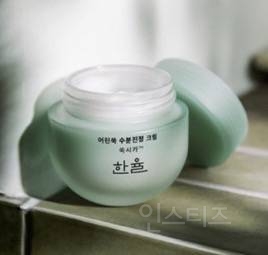 수분크림 유목민을 위한 수부지 피부 오만팔천개 빅데이터(+수분크림 정보 포함) | 인스티즈