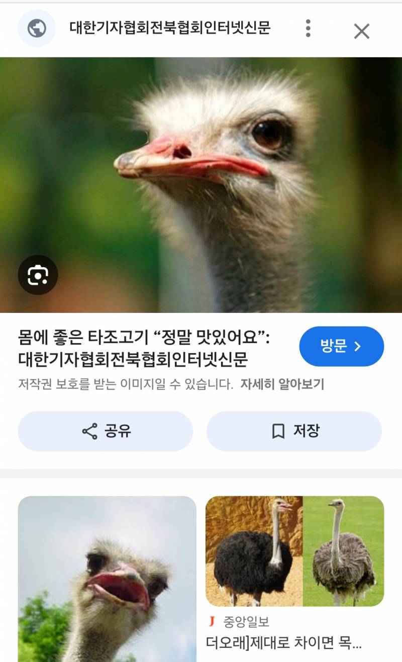 [잡담] 남자친구가 나 닮았다고 보내줬어 | 인스티즈
