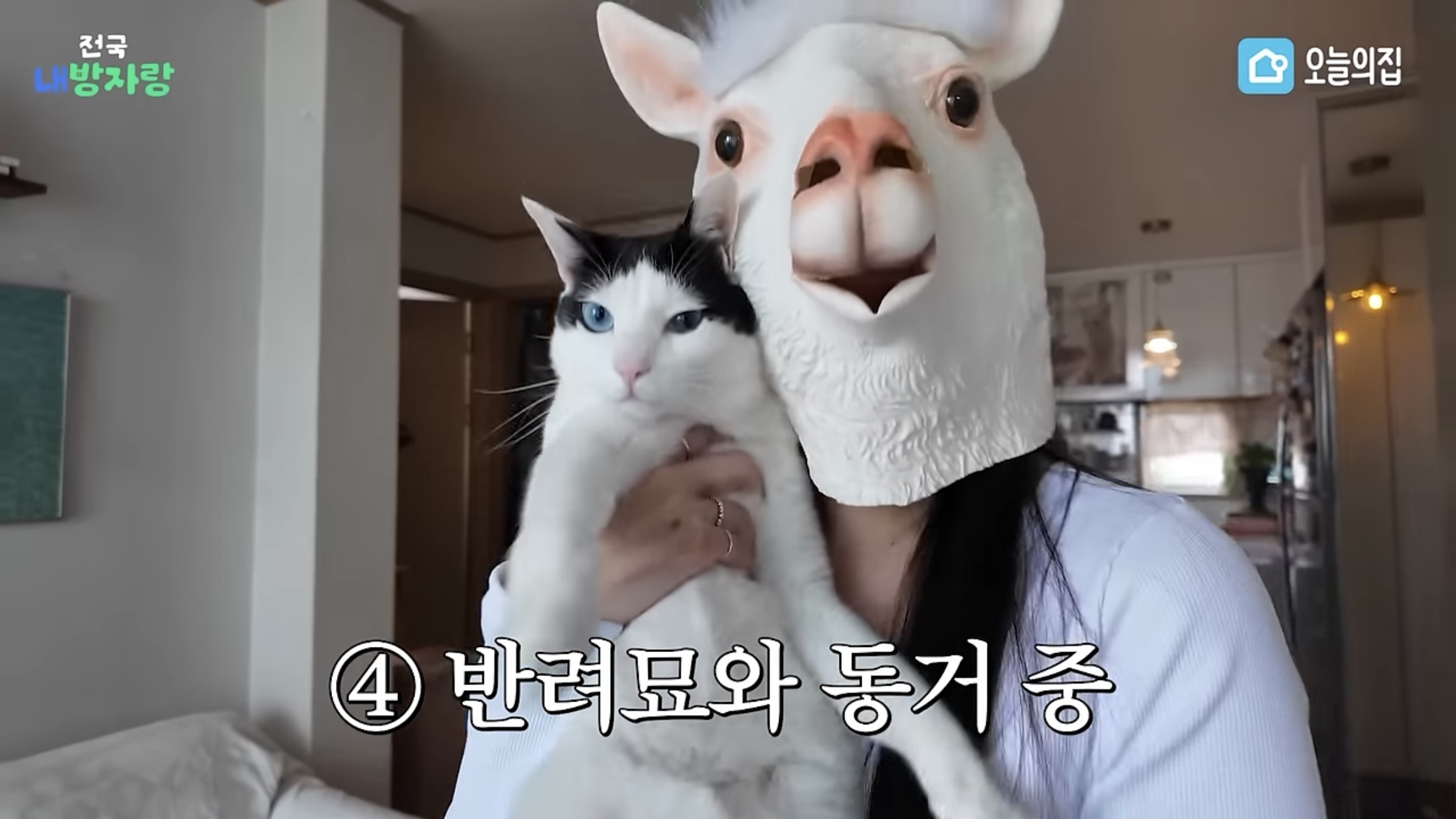 그알PD급 극한직업이라는 오늘의집 PD | 인스티즈
