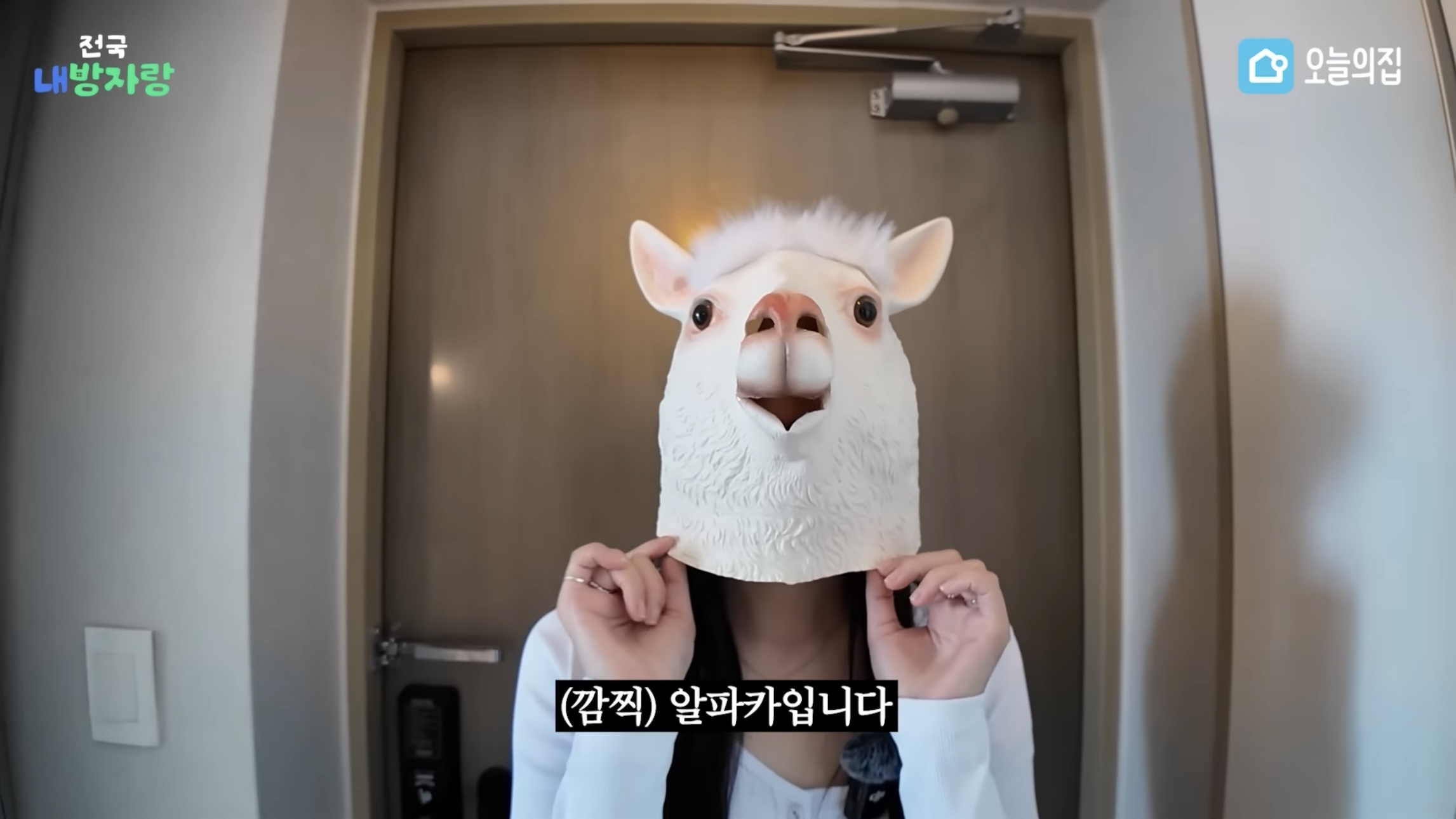 그알PD급 극한직업이라는 오늘의집 PD | 인스티즈