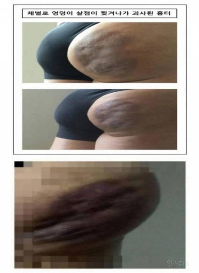 누구와 정신세계가 비슷한 학폭가해자.jpg | 인스티즈
