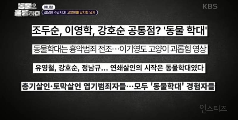 [분노주의] 이번 주 '동물은 훌륭하다'에서 다룬 고양이 학대범 | 인스티즈