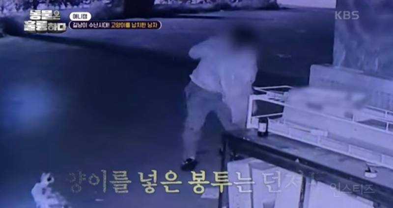 [분노주의] 이번 주 '동물은 훌륭하다'에서 다룬 고양이 학대범 | 인스티즈
