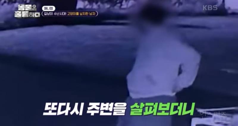 [분노주의] 이번 주 '동물은 훌륭하다'에서 다룬 고양이 학대범 | 인스티즈