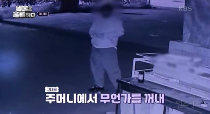 [분노주의] 이번 주 '동물은 훌륭하다'에서 다룬 고양이 학대범 | 인스티즈