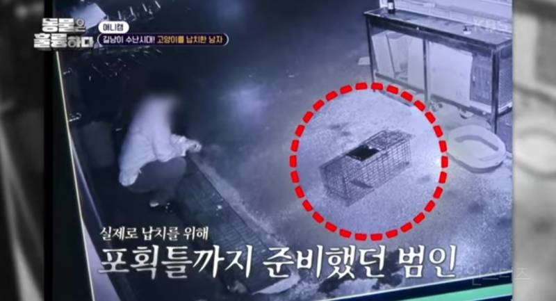[분노주의] 이번 주 '동물은 훌륭하다'에서 다룬 고양이 학대범 | 인스티즈