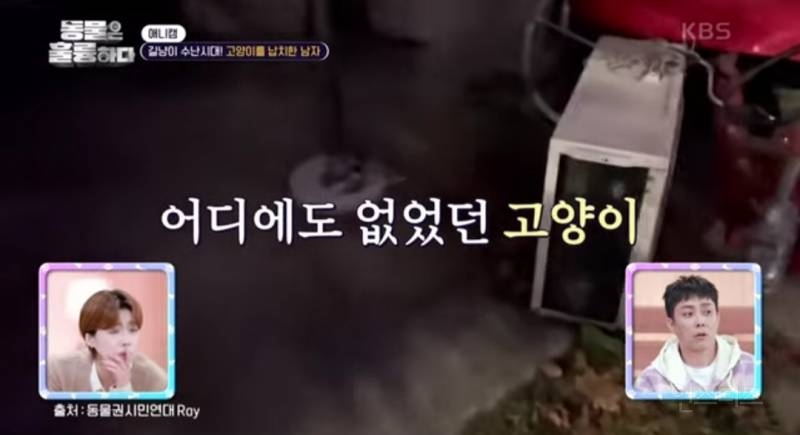 [분노주의] 이번 주 '동물은 훌륭하다'에서 다룬 고양이 학대범 | 인스티즈