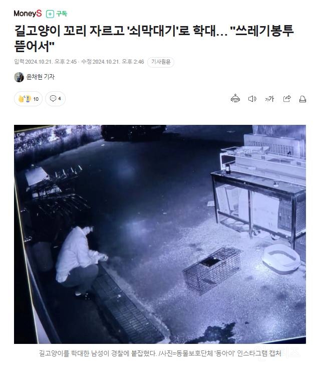 [분노주의] 이번 주 '동물은 훌륭하다'에서 다룬 고양이 학대범 | 인스티즈
