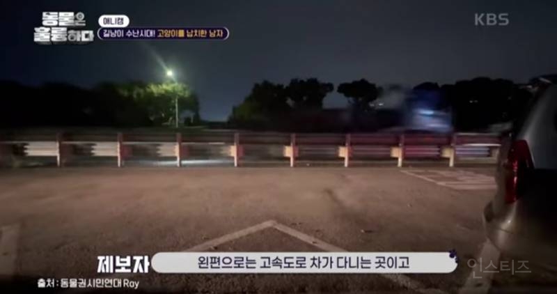 [분노주의] 이번 주 '동물은 훌륭하다'에서 다룬 고양이 학대범 | 인스티즈