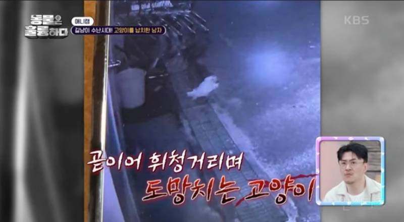 [분노주의] 이번 주 '동물은 훌륭하다'에서 다룬 고양이 학대범 | 인스티즈