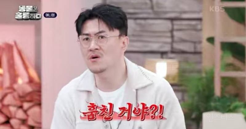 [분노주의] 이번 주 '동물은 훌륭하다'에서 다룬 고양이 학대범 | 인스티즈