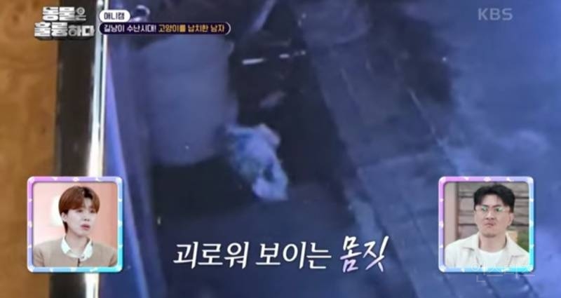 [분노주의] 이번 주 '동물은 훌륭하다'에서 다룬 고양이 학대범 | 인스티즈