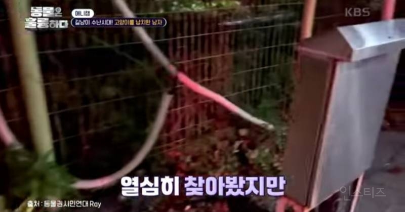 [분노주의] 이번 주 '동물은 훌륭하다'에서 다룬 고양이 학대범 | 인스티즈