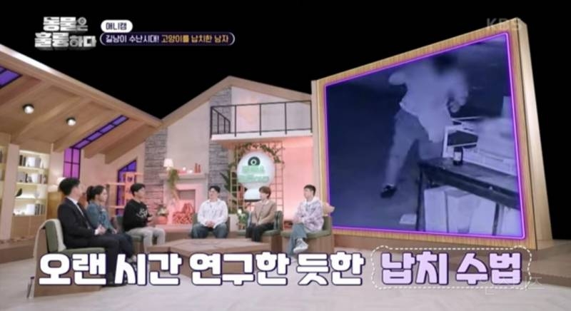 [분노주의] 이번 주 '동물은 훌륭하다'에서 다룬 고양이 학대범 | 인스티즈