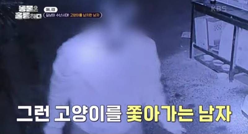 [분노주의] 이번 주 '동물은 훌륭하다'에서 다룬 고양이 학대범 | 인스티즈