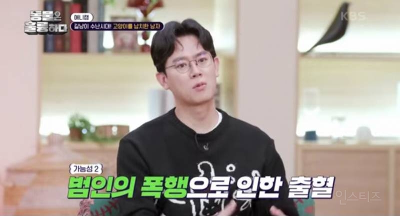[분노주의] 이번 주 '동물은 훌륭하다'에서 다룬 고양이 학대범 | 인스티즈