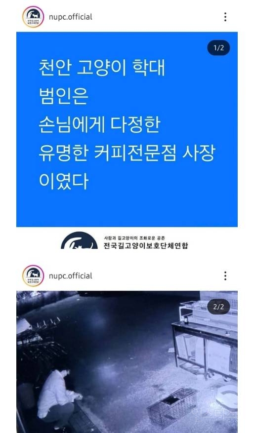 [분노주의] 이번 주 '동물은 훌륭하다'에서 다룬 고양이 학대범 | 인스티즈