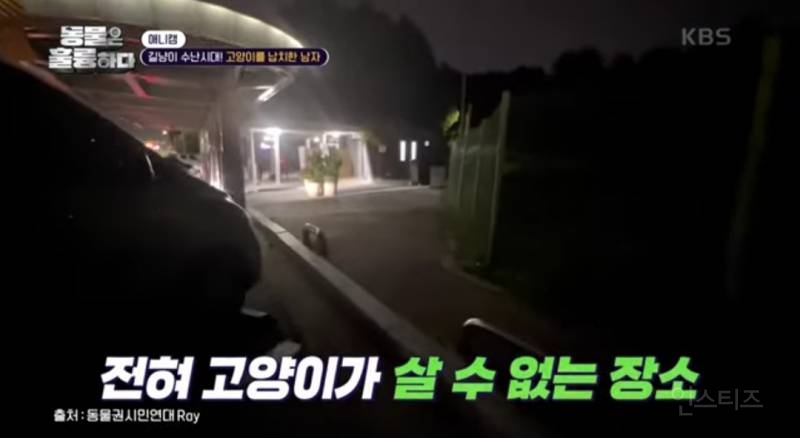 [분노주의] 이번 주 '동물은 훌륭하다'에서 다룬 고양이 학대범 | 인스티즈