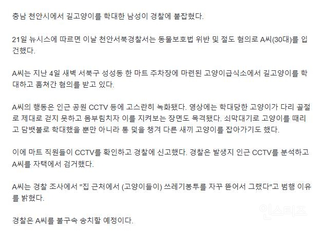 [분노주의] 이번 주 '동물은 훌륭하다'에서 다룬 고양이 학대범 | 인스티즈