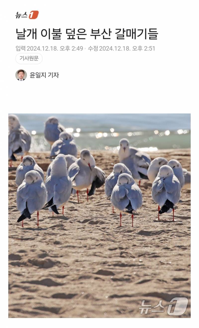 [잡담] 갈맥들아 따뜻해?? | 인스티즈