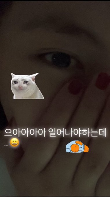 [잡담] 뉴진스 이거보고 나 순수하게 해린이 눈이 아침이라서 그런가 좀 순해졌네 하고 다시 잤는데 | 인스티즈