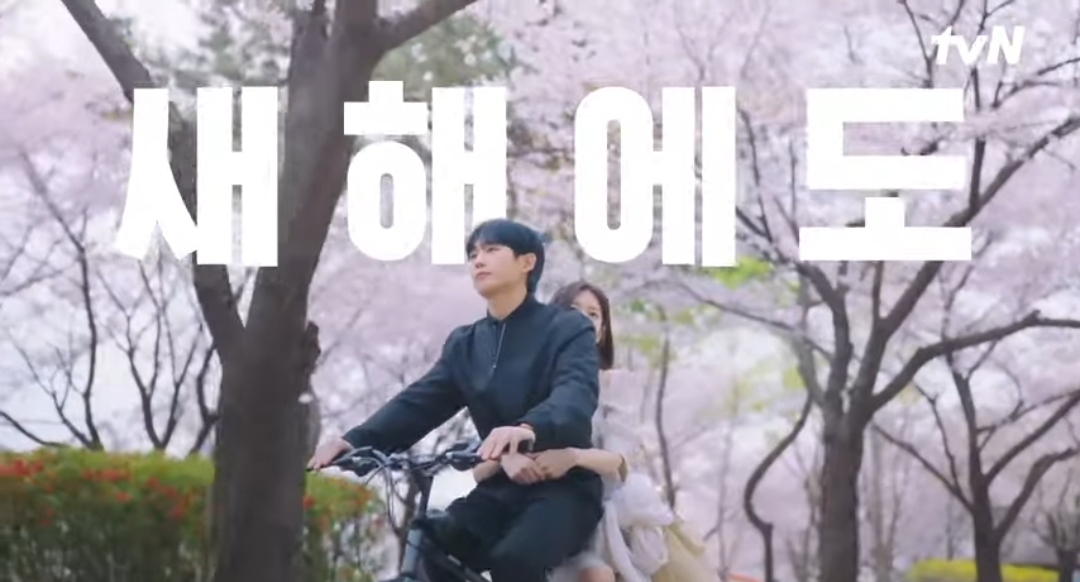 [잡담] 티벤 팝업 영상 벚꽃씬 백홍 솔선 승류 | 인스티즈