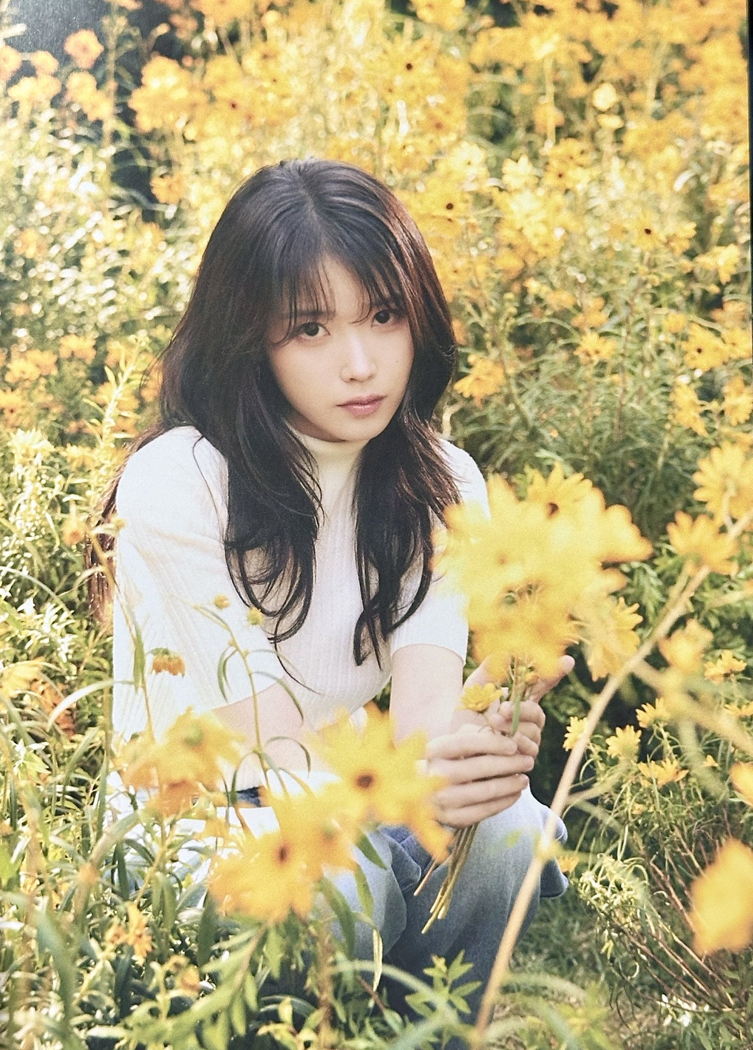 [잡담] 아이유 이번 시그 역대급 이쁘다...(ㅅㅍㅈㅇ) | 인스티즈