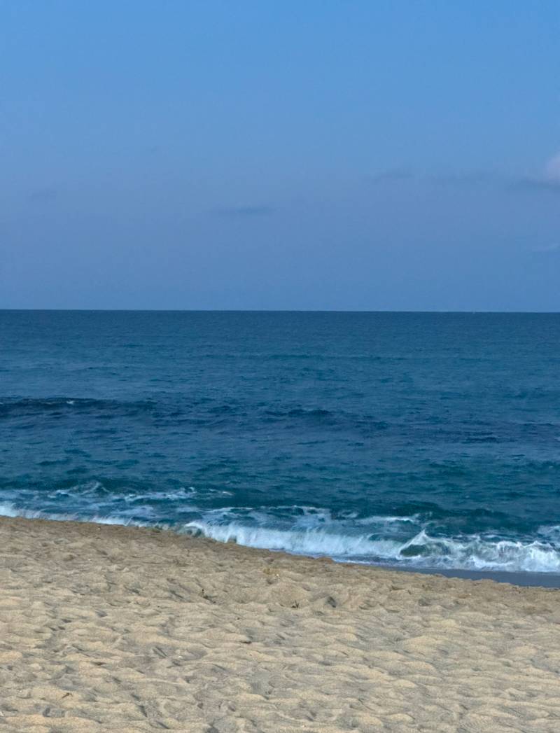 [잡담] 아이폰 흐림필터 어서오시고.. | 인스티즈