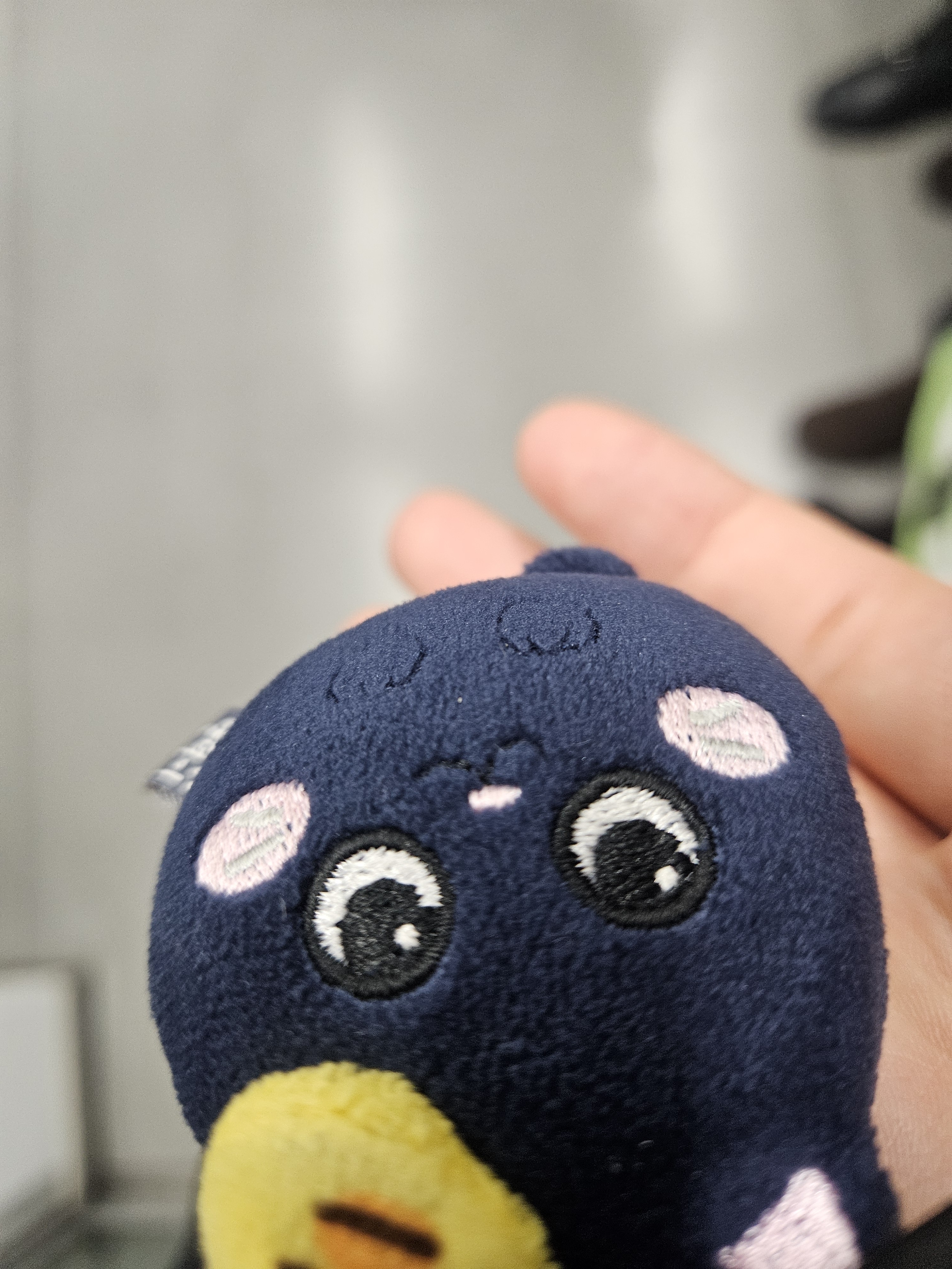 [잡담] 라이즈 좋아하시죠 ? 👤:어...찌 아셨어요....? | 인스티즈