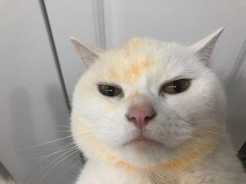 [잡담] 익들아 나 로또됐어!!!!!!! | 인스티즈