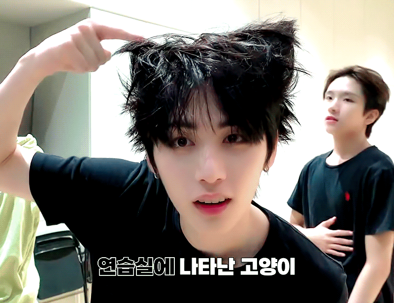 [잡담] 요즘 나의 깜고 보석함....🐈‍⬛🖤 | 인스티즈