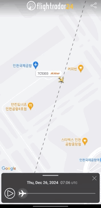 🚨어제 승객 1명 때문에 회항한 제주항공🚨 | 인스티즈