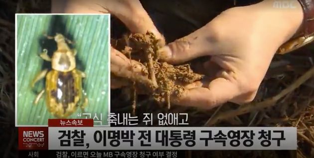 [잡담] 돌아다니는 속보짤들 모아봤음 ㅋㅋㅋㅋㅋㅋㅋㅋㅋㅋ | 인스티즈