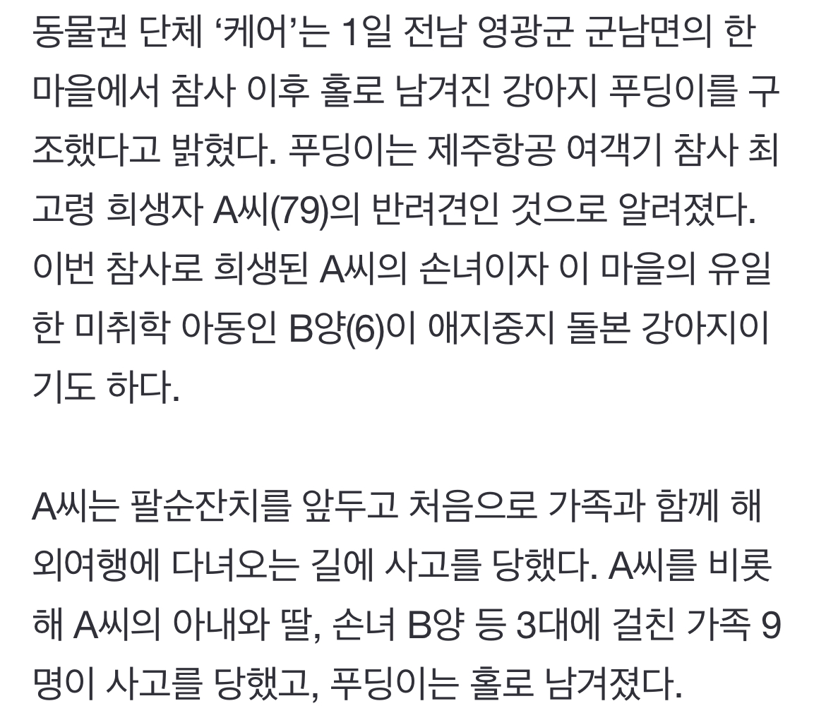 [정보/소식] '제주항공 여객기 참사'로 가족 잃은 '푸딩이' 동물 단체서 구조 | 인스티즈