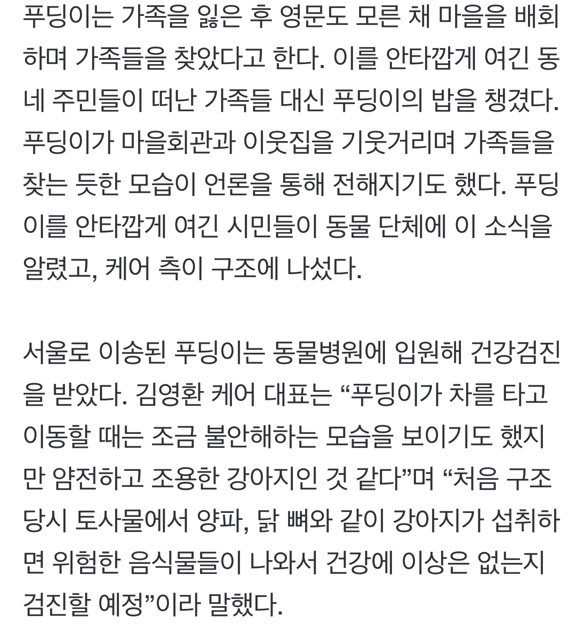 [정보/소식] '제주항공 여객기 참사'로 가족 잃은 '푸딩이' 동물 단체서 구조 | 인스티즈