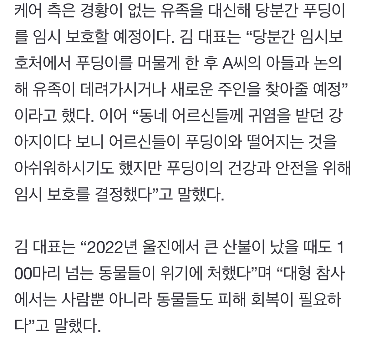 [정보/소식] '제주항공 여객기 참사'로 가족 잃은 '푸딩이' 동물 단체서 구조 | 인스티즈