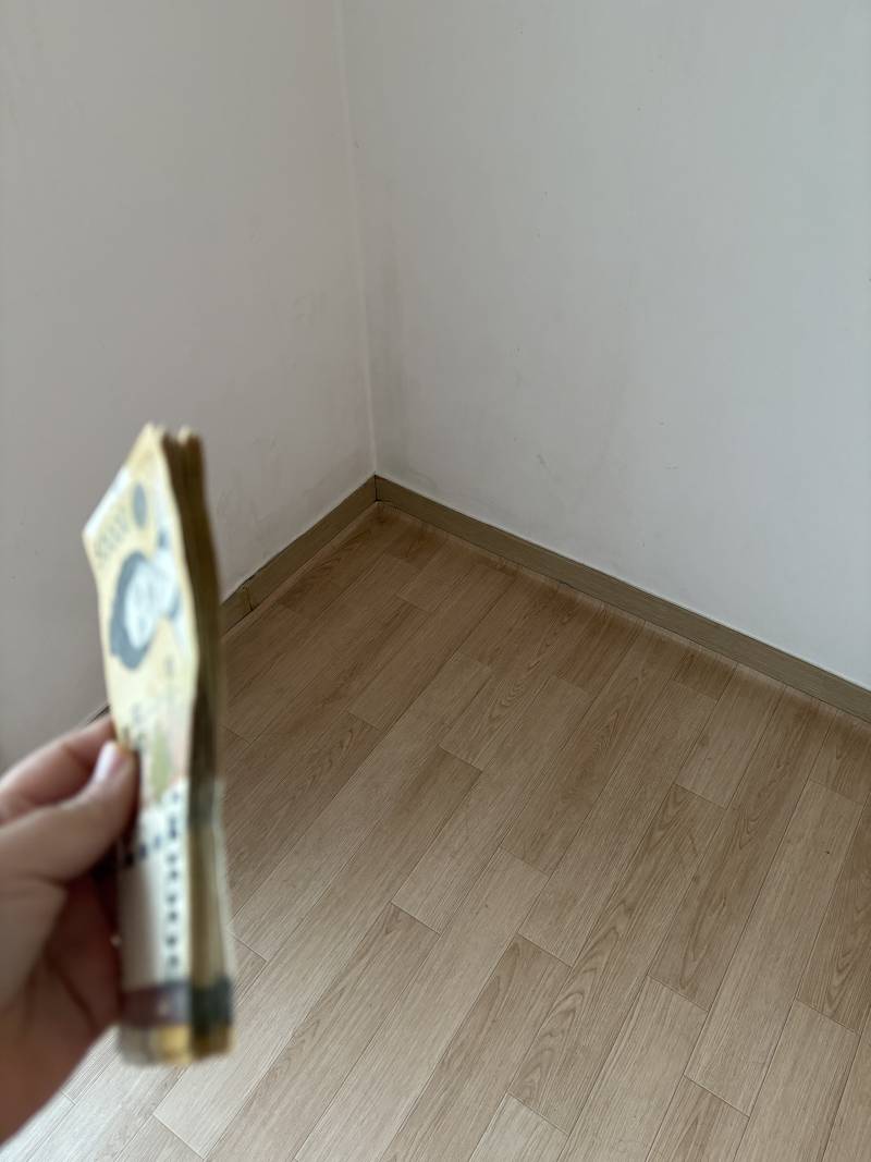 [잡담] 신사임당20장 vs 세종대왕 100장 후자로고를걸그랬나 전자는 너무 적어보여 ㅠ | 인스티즈