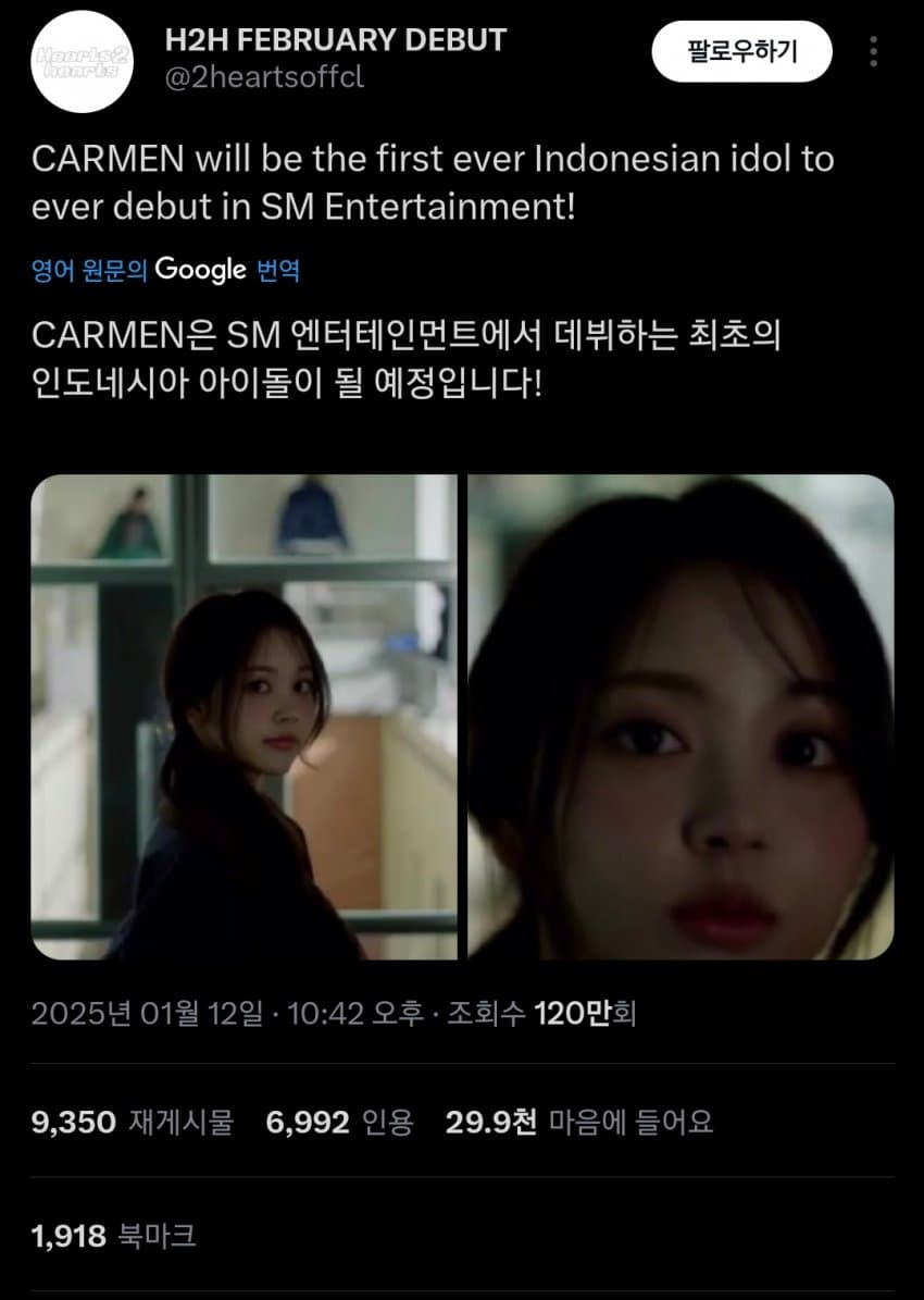 [마플] 슴 근데 인도네시아 잘 다룬다는걸 대체 어떻게 알아 | 인스티즈