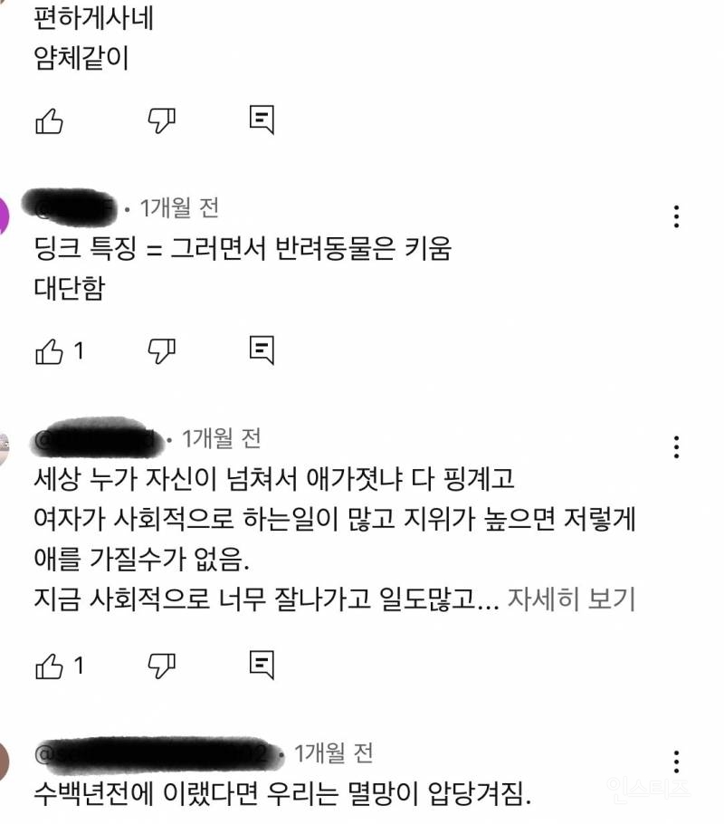 자연스럽게 딩크가 됐다는 김이나 영상에 달린 댓글들 | 인스티즈