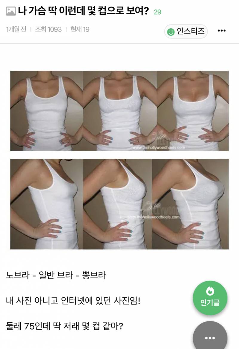 [잡담] 와 나 딱 75c에 뽕브라 노브라 저거랑 존 똑임 | 인스티즈