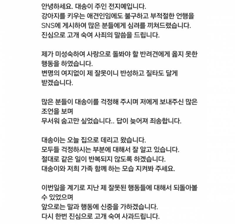 [잡담] 시바견 파양하고 전시했던 사람 다시 데려왔다더라 | 인스티즈
